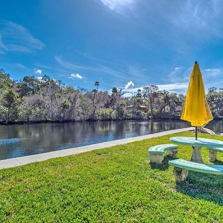 Withlacoochee River House With Dock And Kayaks! Yankeetown 外观 照片