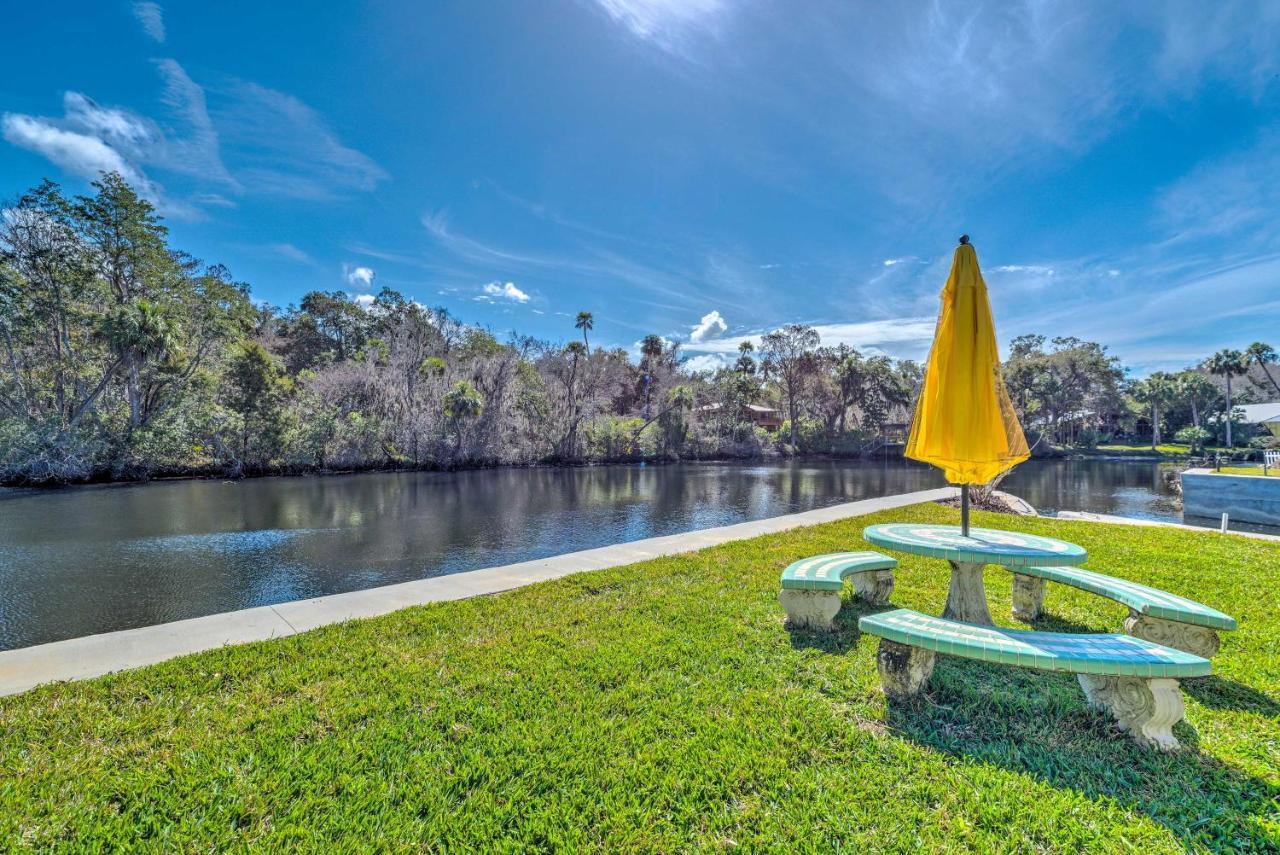 Withlacoochee River House With Dock And Kayaks! Yankeetown 外观 照片