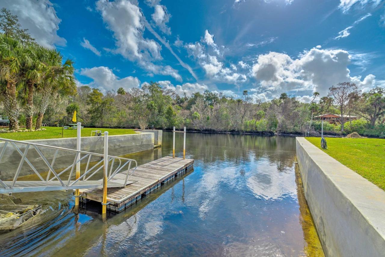 Withlacoochee River House With Dock And Kayaks! Yankeetown 外观 照片